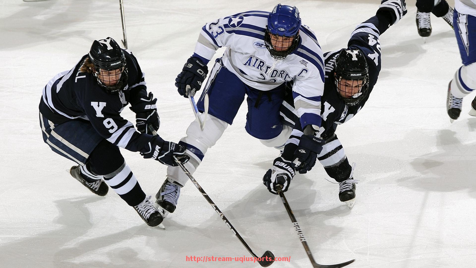 U球体育直播-健身器材“生病”维修保养技巧与常见故障排除
